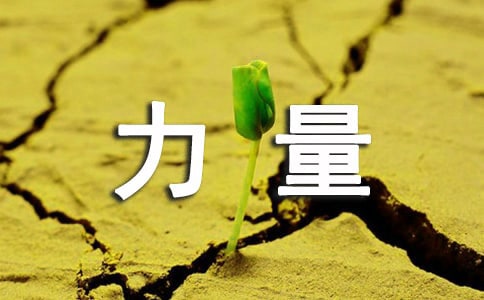 《梦想的力量》读后感(汇编15篇)