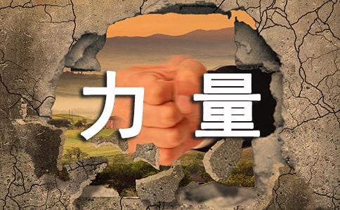 团队的力量拓展训练心得体会