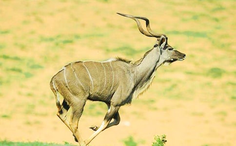 ����ľ���Ķ���