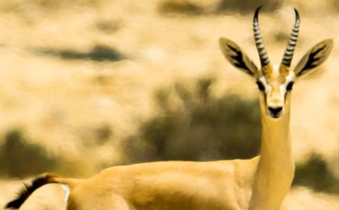 ����ľ������[��]