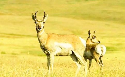 ���������ݡ������ 