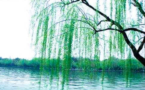 ��д��������������