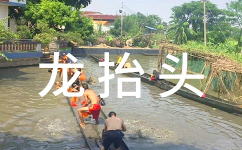 二月二龙抬头祝福语(集合15篇)