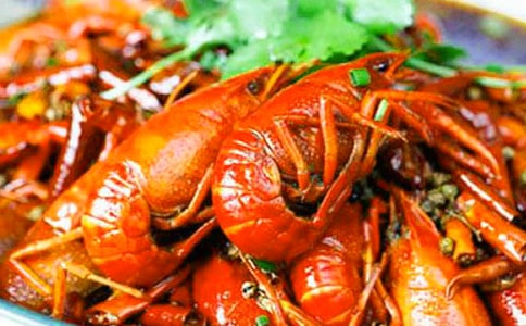 龙虾的作文300字7篇(实用)