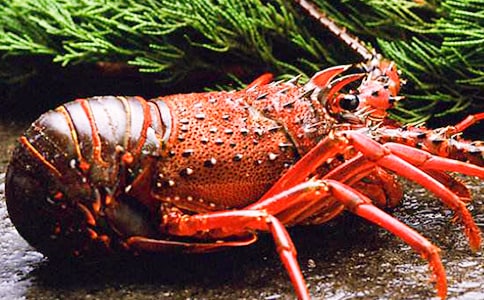 ��Ϻ������300�ֻ���3ƪ