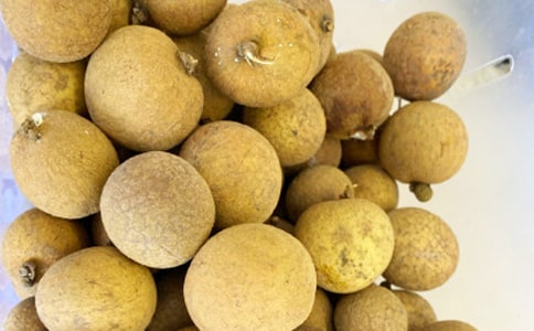 �������������300��10ƪ[��]