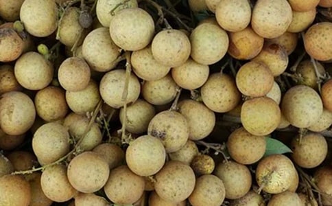 ������������300����ƪ