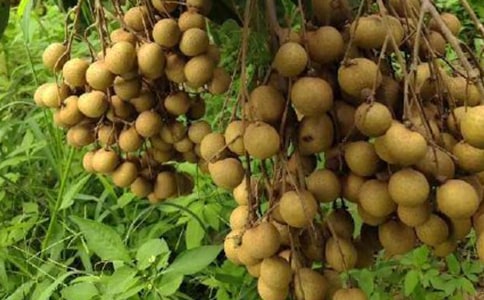 ������ɡ�Ķ���2018