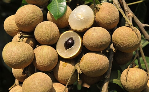 ʵ�õ���������300����ƪ