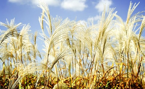 «έ������300��(ʵ��4ƪ)