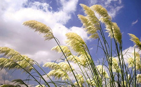 «έ��С��������600��