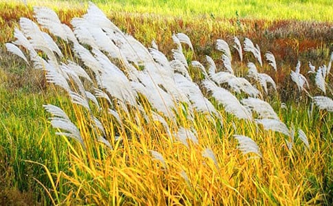 ��д«έ�ľ���