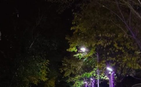 (热门)路灯作文300字10篇