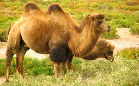 �������Ӷ����(15ƪ)