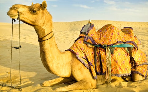 �����������ӡ��и�14ƪ[����]