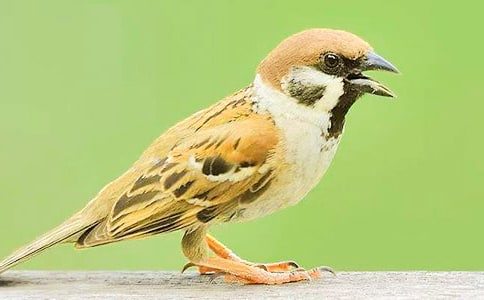 ������ȸ���иС�ʵ�á�