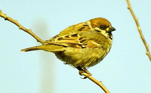 ����������ȸ������300����ƪ