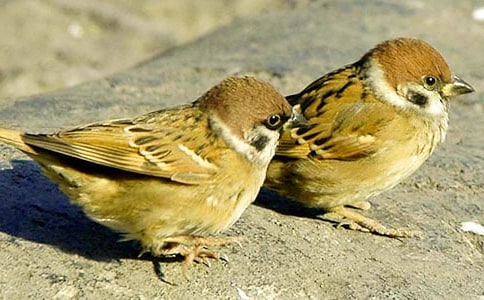 �����š���ȸ������300��3ƪ