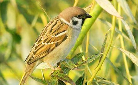 ��ȸ�Ǽ�����������