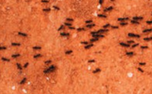 �����ϡ�����ֻ���ϡ������15ƪ