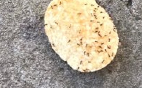 �����ϱ����������