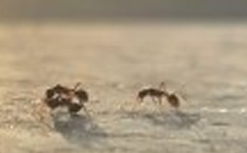 ������д���ϵľ���,��д��д���ϵľ���