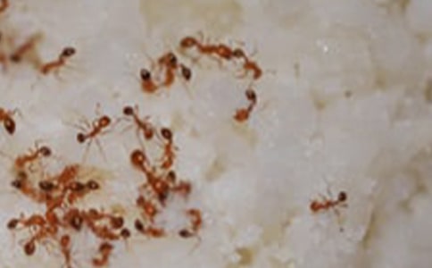 ��д���ϵľ���