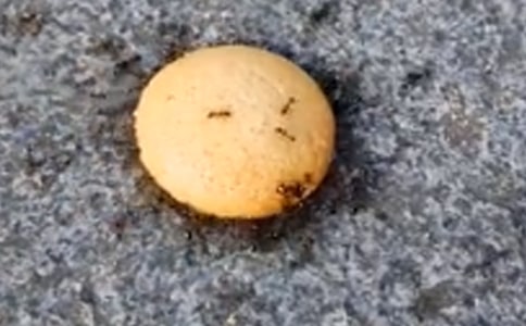 ���ϱ��������