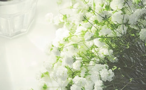 关于满天星的说说2篇