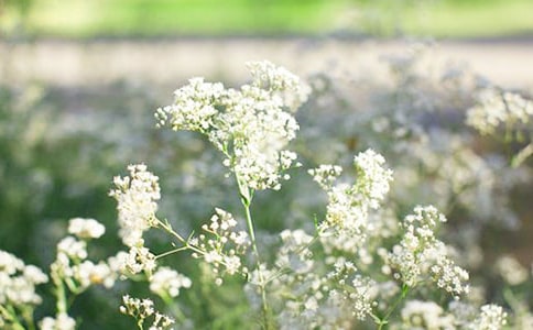 抬头看满天星,却挂念某一道彩虹