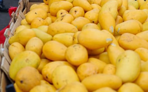 â���ĸ���