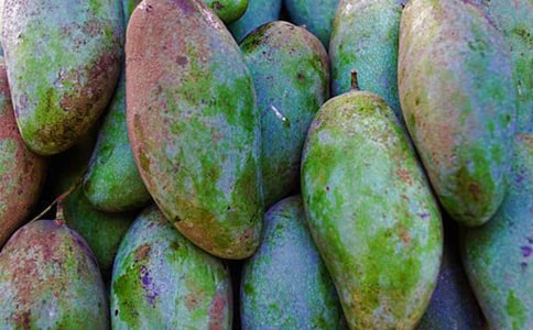 芒果的英文是什么