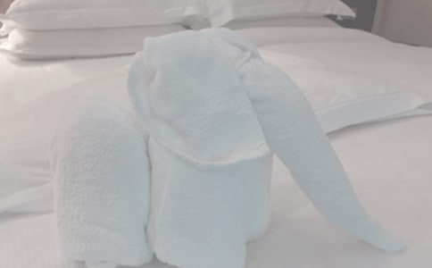 ������һ��ë��һ�꼶�ռ�100��