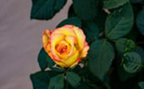 ����õ���˵˵(����15ƪ)