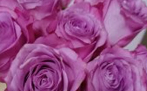 õ�廨�������