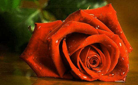 õ�廨˵˵����15ƪ