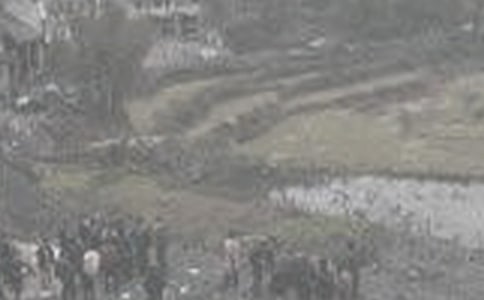 ��ú��ȫ�������ϵĽ���