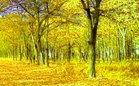 ������д�����ľ��Ӵ�ȫ