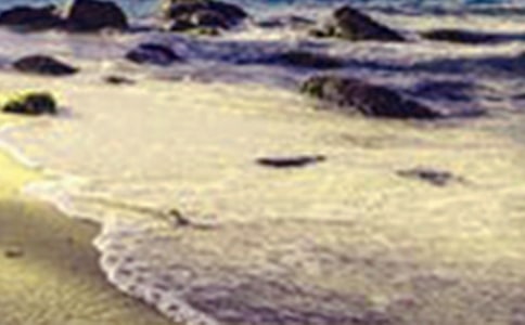 雪后美景的句子