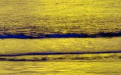 ��д��ҹ������Ψ������