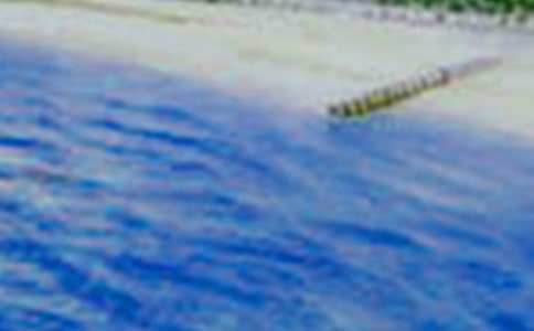 ����С��������1200������