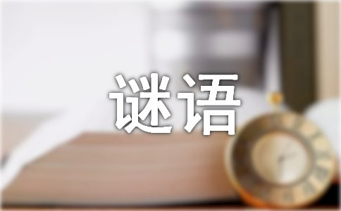 爆笑儿童动物谜语大全及答案(3篇)
