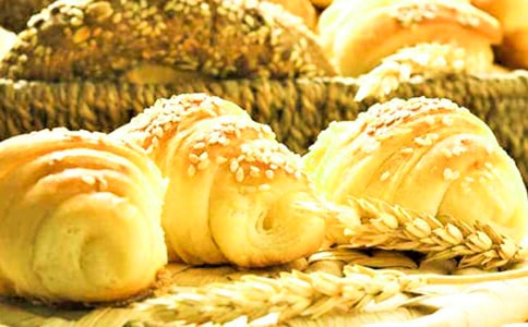 《面包树上的女孩》读后感