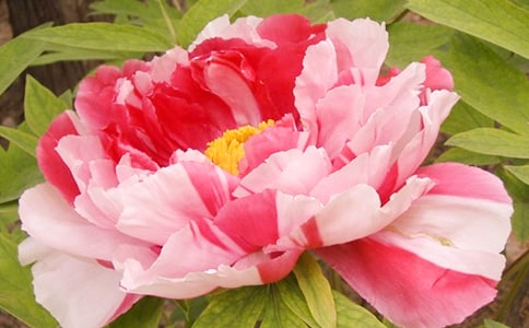 2018ĵ�������ص��������,ĵ���������е��ص�������������а�