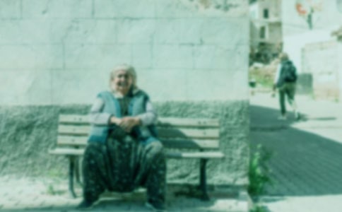 【精选】奶奶的花园作文300字46篇