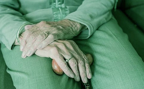 大学生学习2018奶奶政府工作报告心得体会