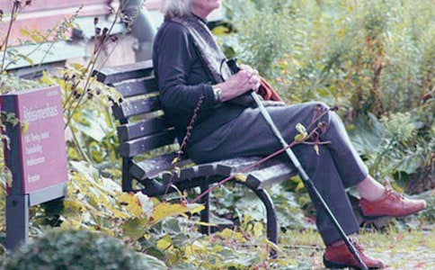 奶奶的菜园作文400字4篇