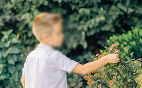 �����ֶ��ص��к�����