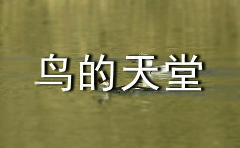 《鸟的天堂》读后感