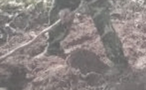 ��ũ��ľ���˵˵